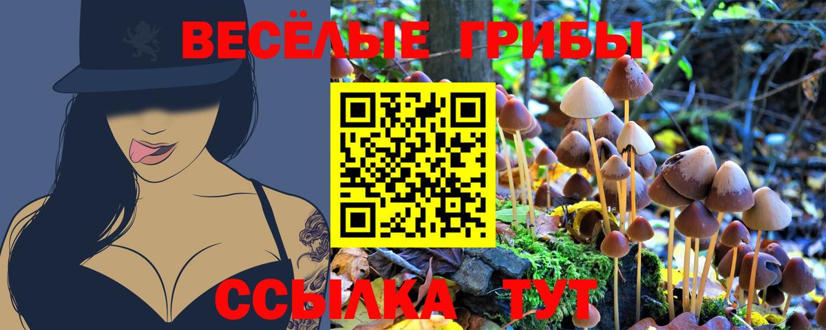 Псилоцибиновые грибы MAGIC MUSHROOMS  Вход с VPN  Псилоцибиновые грибы мухоморы  Подольск 